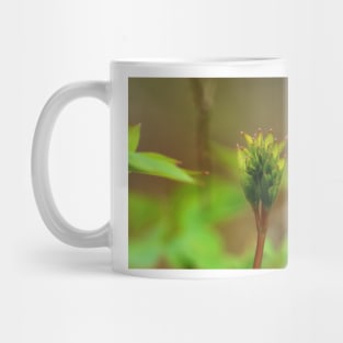 A new begining Mug